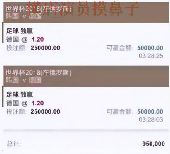新手必看：世界杯投注平台真实体验+直播详解 + 2026世界杯